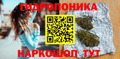 индика Лесосибирск
