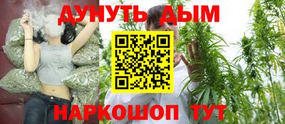 индика Лесосибирск