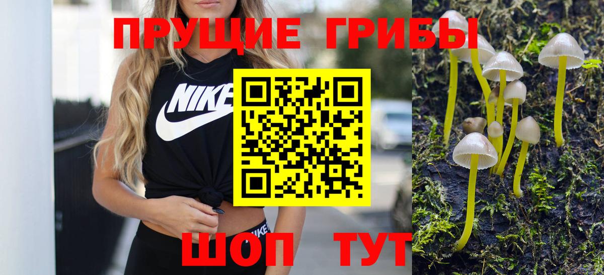 Псилоцибиновые грибы прущие грибы Еманжелинск